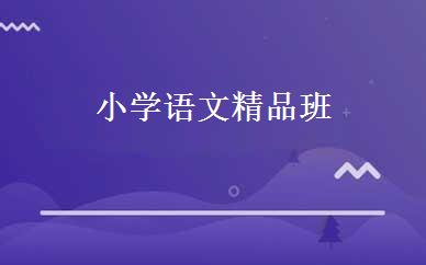 小学语文精品班 