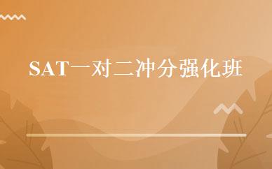SAT一对二冲分强化班 