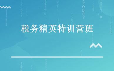 税务精英特训营班 