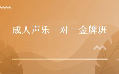 成人声乐一对一金牌班 