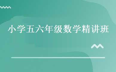 小学五六年级数学精讲班 
