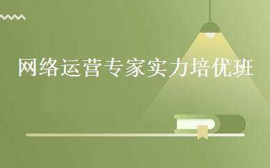 网络运营专家实力培优班 