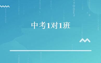中考1对1班 