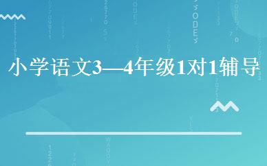 小学语文3—4年级1对1辅导班   