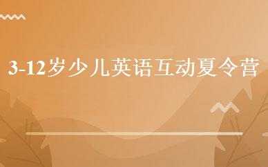 3-12岁少儿英语互动夏令营 