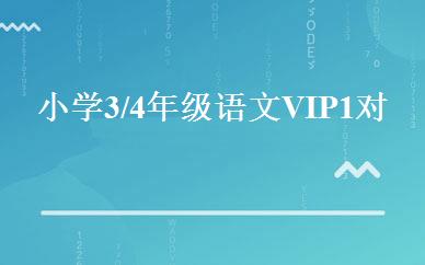 小学3/4年级语文VIP1对1班 
