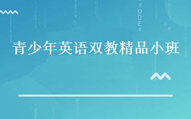 青少年英语双教精品小班 