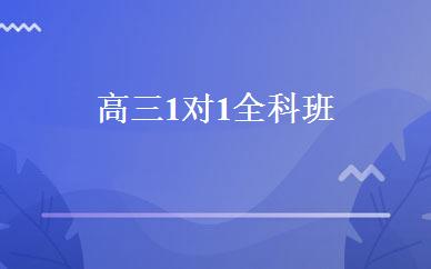 高三1对1全科班 