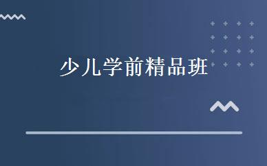 少儿学前精品班 