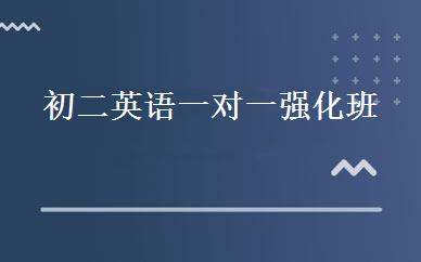 初二英语一对一强化班