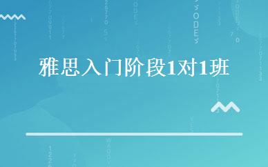 雅思入门阶段1对1班 