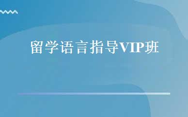 留学语言指导VIP班 