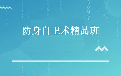 防身自卫术精品班 