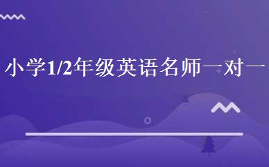 小学1/2年级英语名师一对一精讲班 