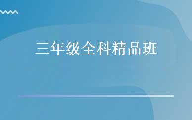 三年级全科精品班 