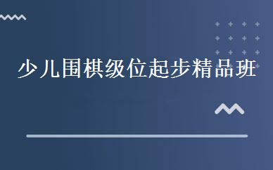 少儿围棋级位起步精品班 
