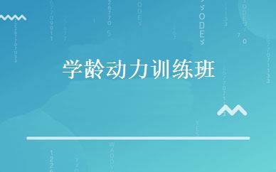 学龄动力训练班 