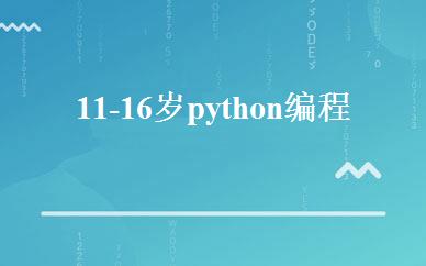 11-16岁python编程课 