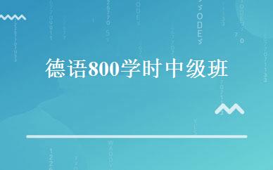 德语800学时中级班 