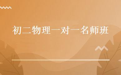 初二物理一对一名师班