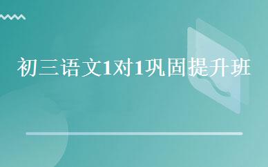初三语文1对1巩固提升班 