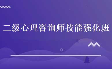 二级心理咨询师技能强化班 