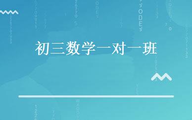 初三数学一对一班 