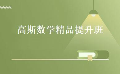 高斯数学精品提升班 