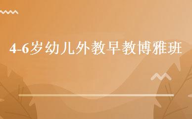 4-6岁幼儿外教早教博雅班 