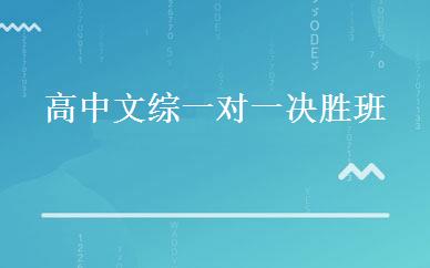 高中文综一对一决胜班 
