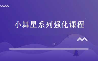 小舞星系列强化课程  