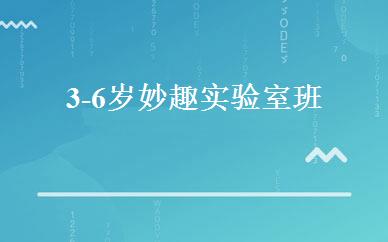 3-6岁妙趣实验室班 