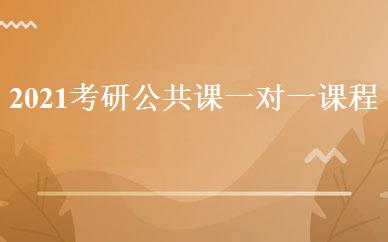 2021考研公共课一对一课程  
