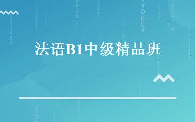法语B1中级精品班 