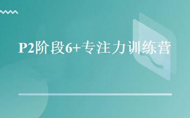 P2阶段6+专注力训练营 