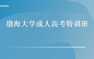 渤海大学成人高考特训班 