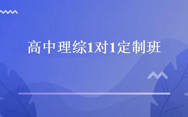高中理综1对1定制班 