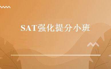 SAT强化提分小班 