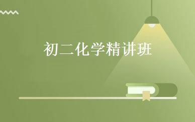 初二化学精讲班 