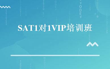 SAT1对1VIP培训班 