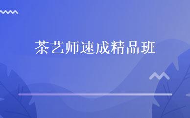 茶艺师速成精品班 