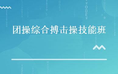团操综合搏击操技能班 