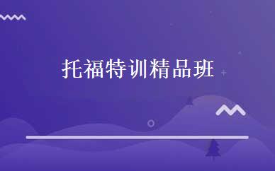 托福特训精品班 