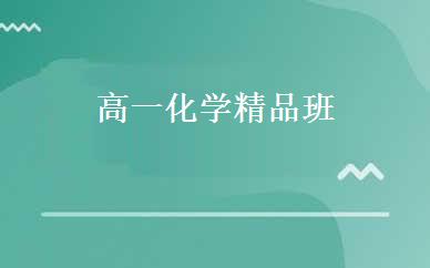 高一化学精品班 