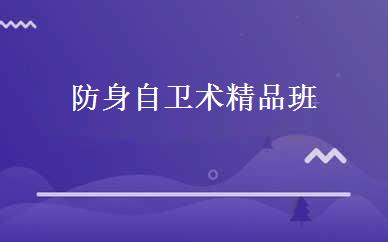 防身自卫术精品班 