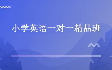 小学英语一对一精品班 