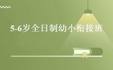 5-6岁全日制幼小衔接班 