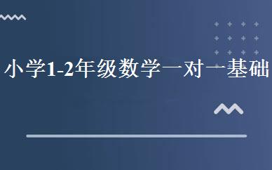 小学1-2年级数学一对一基础班 