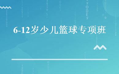 6-12岁少儿篮球专项班 
