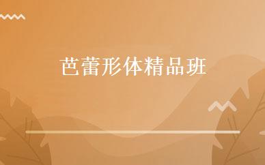 芭蕾形体精品班 